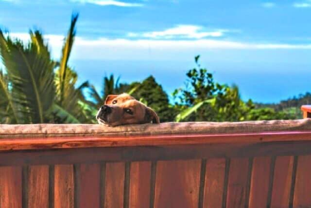 Camiguin Volcano Houses-Panoramic House Mambajao Kültér fotó